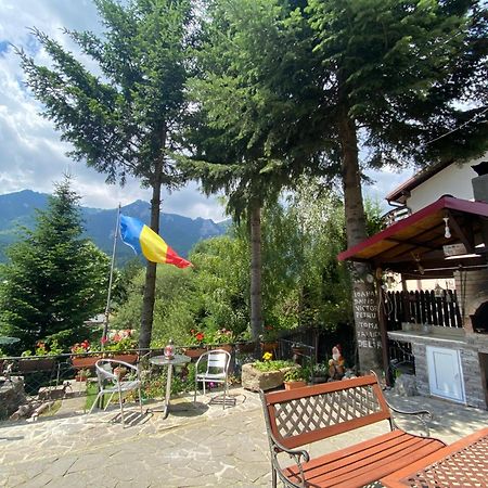Vila Mara Buşteni Dış mekan fotoğraf