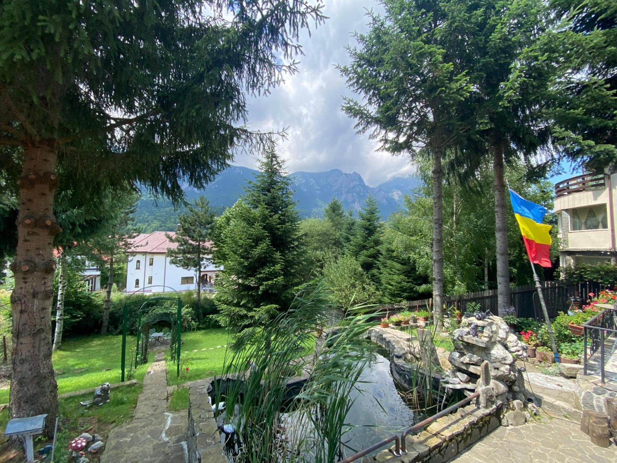 Vila Mara Buşteni Dış mekan fotoğraf